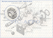 Шестерня промежуточная Т-16МГ  (СШ24.22.103-2)  