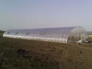 Теплицы  промышленные от производителя.
