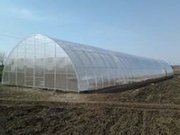  Теплицы мини теплицы от производителя.